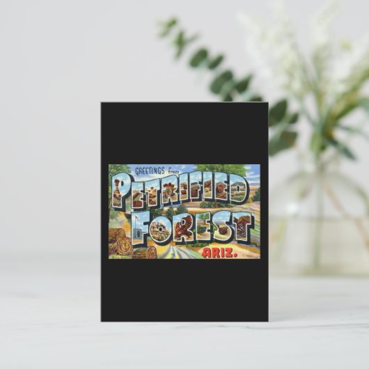 石化されたフォレストアリゾナからの挨拶 ポストカード (スタンド正面)