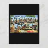 石化されたフォレストアリゾナからの挨拶 ポストカード (正面)