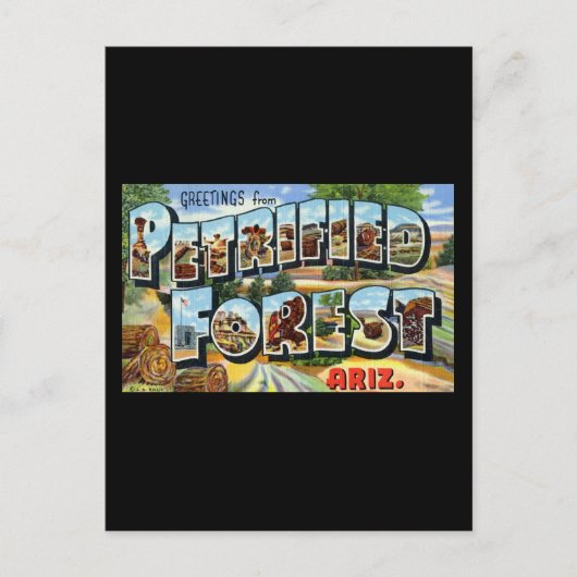 石化されたフォレストアリゾナからの挨拶 ポストカード (正面)