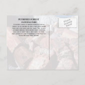石化された丸太,石化された森NP,アリゾナ ポストカード (裏面)