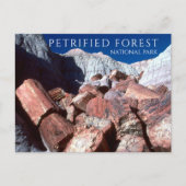 石化された丸太,石化された森NP,アリゾナ ポストカード (正面)