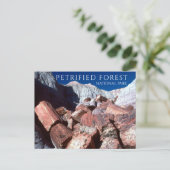 石化された丸太,石化された森NP,アリゾナ ポストカード (スタンド正面)