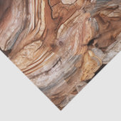 石化された木材の切り離し 薄葉紙 (詳細)