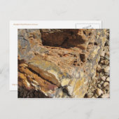 石化された木、サイド ポストカード (正面/裏面)