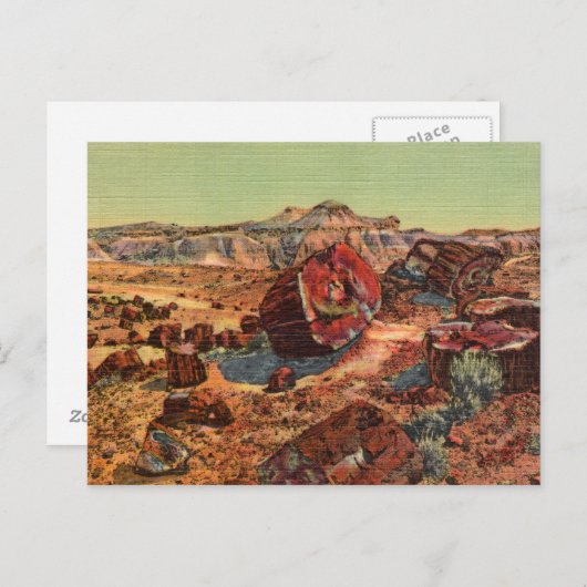 石化された森ヴィンテージはがき ポストカード (正面/裏面)