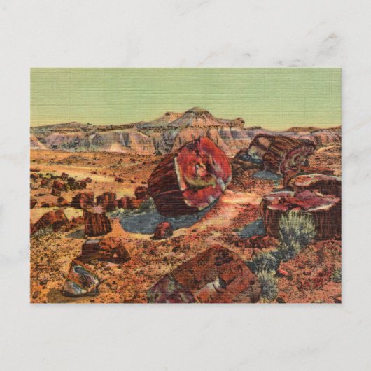 石化された森ヴィンテージはがき ポストカード (正面)