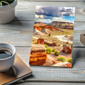 石化された森林国立公園絵を描砂漠 ポストカード