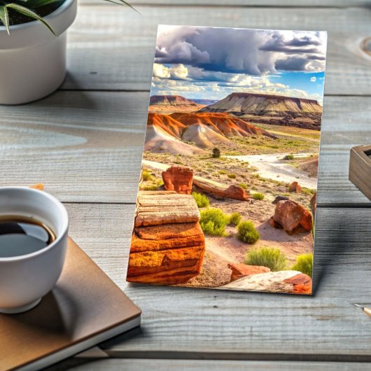 石化された森林国立公園絵を描砂漠 ポストカード