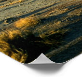 石化された森林砂漠アリゾナの風景の写真 ポスター (角)