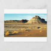 石化された森林砂漠アリゾナの風景の写真 ポストカード (正面)