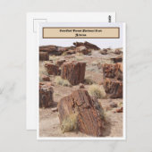 石化された森、AZ、垂直 ポストカード (正面/裏面)