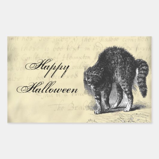 石化された猫のハロウィーン 長方形シール (正面)