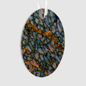 石化した恐竜の骨 オーナメント (正面)