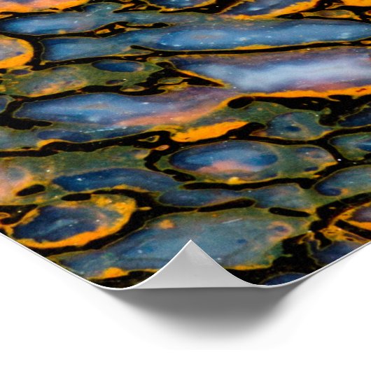 石化した恐竜の骨 ポスター (角)