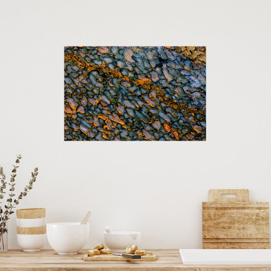 石化した恐竜の骨 ポスター (キッチン)