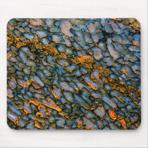 石化した恐竜の骨 マウスパッド
