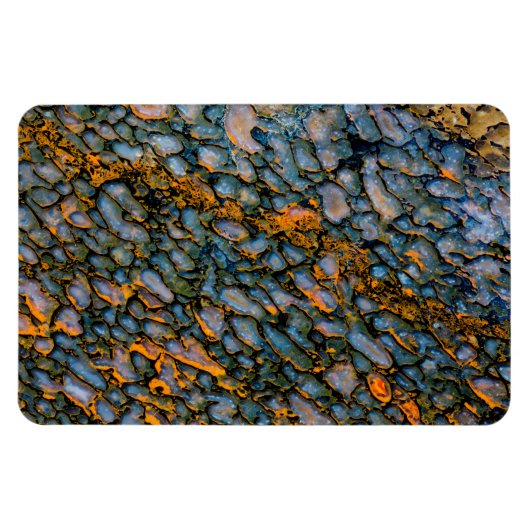 石化した恐竜の骨 マグネット (横)