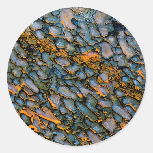 石化した恐竜の骨 ラウンドシール (正面)
