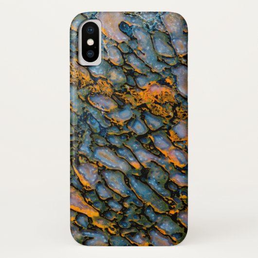 石化した恐竜の骨 Case-Mate iPhoneケース (裏面)