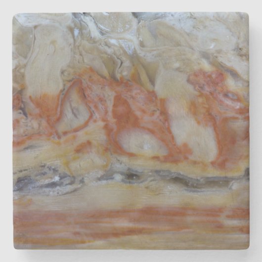 石化した木を閉じる ストーンコースター (正面)