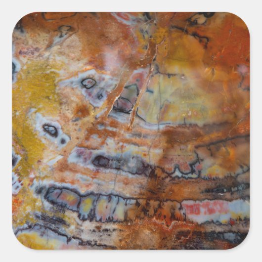 石化した木茶色 スクエアシール (正面)