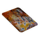 石化した木茶色 マグネット (右側)