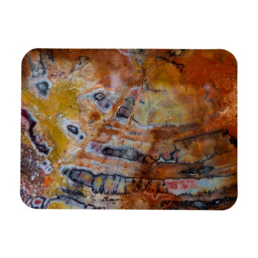 石化した木茶色 マグネット (横)