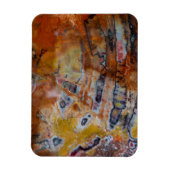 石化した木茶色 マグネット (縦)