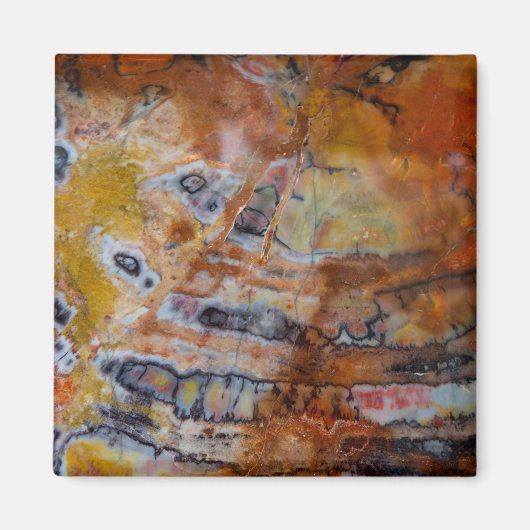 石化した木茶色 マグネット (正面)