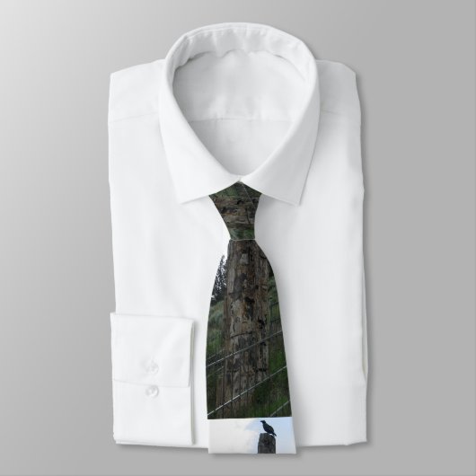 石化した木 ネクタイ (タイ)