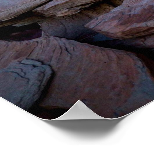 石化した森の夕日 ポスター (角)