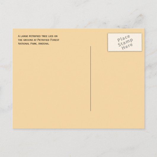 石化した森の大きな石化した木NP ポストカード (裏面)