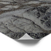 石化した森林の悪い土地 ポスター (角)