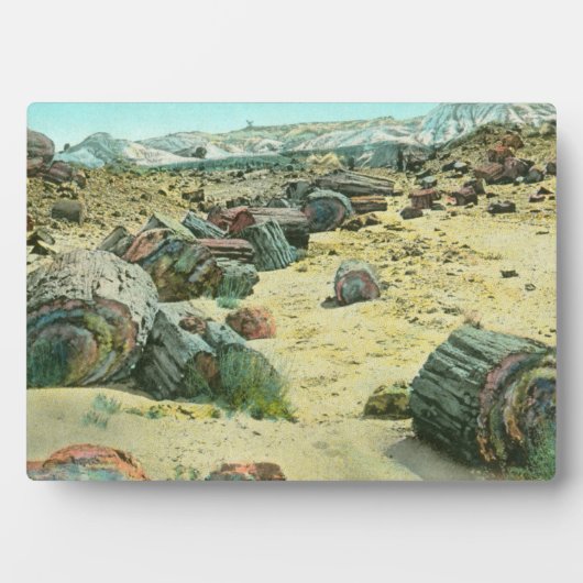 石化した森 フォトプラーク (正面)