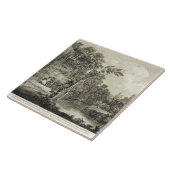 石化の春の眺めは一般に呼びました タイル (側面)