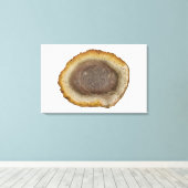 石化シダの茎の断面(タイタイジング) キャンバスプリント (インサイチュ (ウッドフロア))