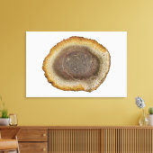 石化シダの茎の断面(タイタイジング) キャンバスプリント (インサイチュ (リビング))