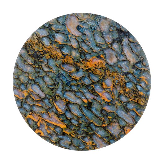 石化恐竜の骨 カッティングボード (正面)