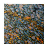 石化恐竜の骨 タイル (正面)