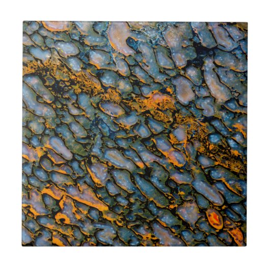 石化恐竜の骨 タイル (正面)