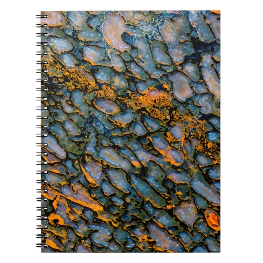 石化恐竜の骨 ノートブック (正面)