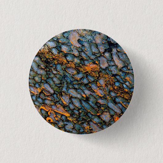 石化恐竜の骨 缶バッジ (正面)