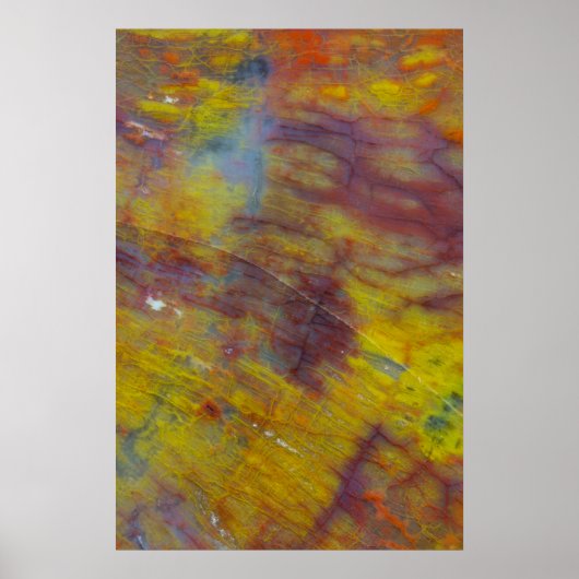 石化木材 ポスター (正面)