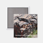 石化木材 マグネット (正面/裏面)