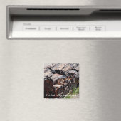 石化木材 マグネット (インサイチュ (食洗機))