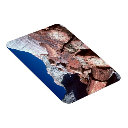 石化木材、石化林NP、アリゾナ マグネット (右側)