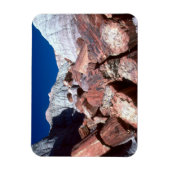 石化木材、石化林NP、アリゾナ マグネット (縦)