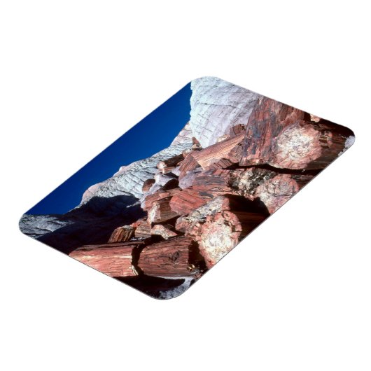 石化木材、石化林NP、アリゾナ マグネット (左側)