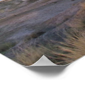 石化林野 ポスター (角)