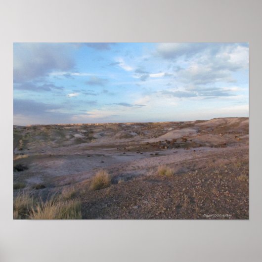 石化林野 ポスター (正面)